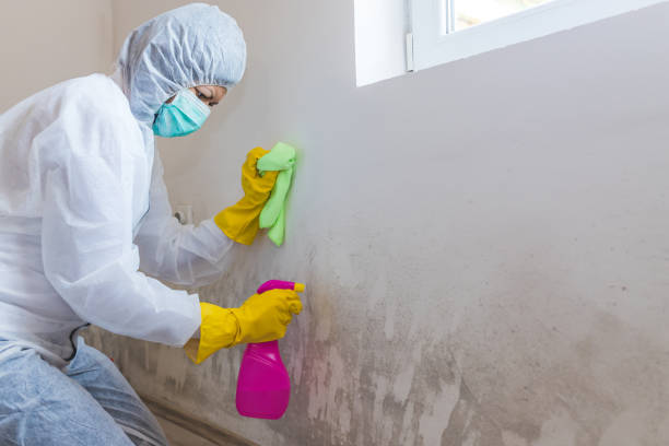 Mold Remediation for Vacation Homes in Patrick Af, FL